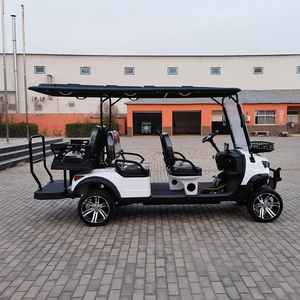 Vendita calda 6-passeggeri Off-Road Golf Cart veicolo elettrico con batterie al litio e piombo-acido strada legale negli Stati Uniti - Product Image 6