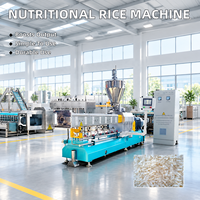 Ligne de transformation alimentaire du riz nutritionnel, extrudeuse à double vis pour la production d'équipements de riz instantané artificiellement enrichi