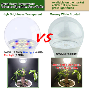 New Arrival quang phổ đầy đủ E27 E26 A19 10 Wát 5000K Màu Đỏ màu xanh LED phát triển ánh sáng bóng đèn cho các nhà máy trong nhà - Product Image 3