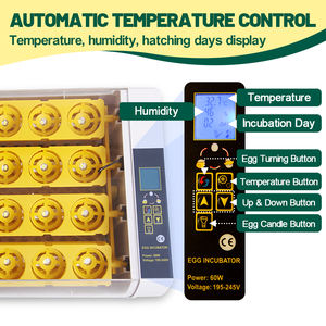 Incubateur et éclosoir automatique HHD pour 24 œufs de volaille, canard, oie, poulet, <span class=keywords><strong>caille</strong></span> et autres oiseaux - Product Image 4