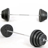 Ensemble d'haltères en ciment de 1 pouce, ensemble d'haltères de musculation, haltères réglables pour la salle de sport à domicile, plaques de musculation pour femmes et hommes