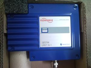 Electrodo de Nivel Conductivo GESTRA NRG19-51 para Calderas de Vapor, Protección contra Bajo Nivel de Agua - Product Image 2