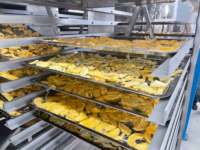 Grote industriële vacuümdroger voor het vriesdrogen van voedsel en fruit