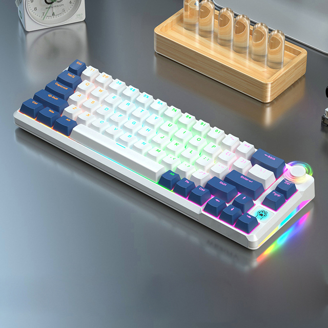 60% Two Color Injection Molding Multimedia Rotary Button RGB 66 Key Gaming Gamer Desktop Mechanical Keyboard