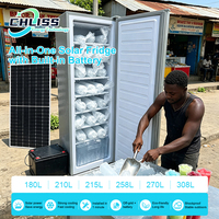 Congélateur vertical 198L à 11 niveaux, machine à glaçons solaire DC 24V, congélation rapide, efficacité énergétique pour supermarché et magasin