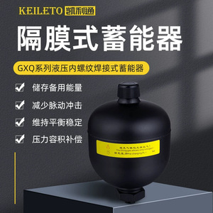 Acumulador de Diafragma Gxq de 0.25, 0.32, 0.5, 0.75L, Precargado con Nitrógeno, para Almacenamiento de Energía Industrial - Product Image 4