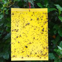 Stevige gele dubbelzijdige bloemvormige kleefplaat voor insecten, nieuwe voorraad, vliegenvanger, sticker, muggenlamp, ongediertebestrijding