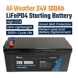 Batteria di Avviamento a Ciclo Profondo 24V 100Ah con Protezione BMS, Senza Manutenzione, 1200CCA per Camion Pesanti/Camper/Nautica - Product Image 2
