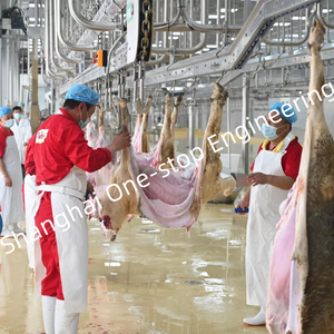 Equipo de Matadero <span class=keywords><strong>Halal</strong></span> para Ovejas, Matadero de Corderos, Línea de Sacrificio de Cabras, Máquina de Sacrificio - Product Image 2