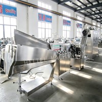 Ligne de production industrielle de sucettes en forme de boule, machines de transformation de confiseries