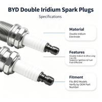 Bougies d'allumage double iridium pour BYD Qin Plus Song Plus DM-i 1.5L, OE 13505385-00, allumage plus puissant, durée de vie ultra longue 100 000 km