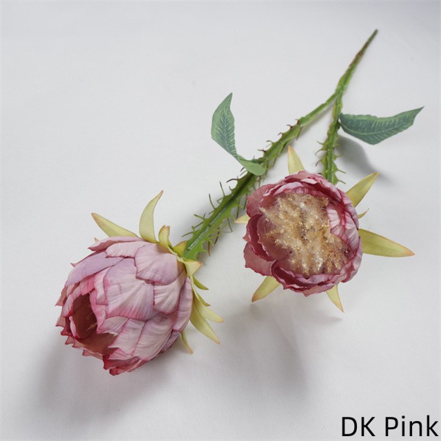 DK Pink