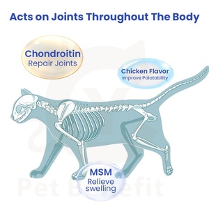 Comprimés de soutien articulaire <span class=keywords><strong>pour</strong></span> chiens et chats, supplément de glucosamine, flexibilité des articulations, santé du cartilage - Product Image 5
