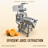 Commerciële automatische spiraalpersmotor 220V hoge productiviteit 3000W voor gebruik in fruitverwerkingsbedrijven, voor fruit- en groentesap