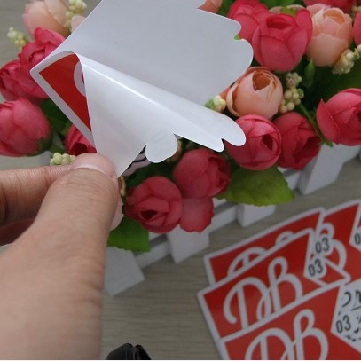 Виниловая наклейка/прозрачная наклейка из ПВХ, индивидуальная печать всех размеров с вашим собственным дизайном