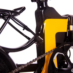 보장 품질 매력적인 가격 자전거 전기 도시 자전거