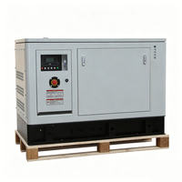 Groupe électrogène au gaz naturel pour l'alimentation électrique industrielle et commerciale