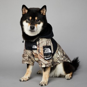 Qingjing, ventas al por mayor, marca Fasion, lujo, fresco, impermeable, la cara del perro, chaqueta cortavientos para mascotas, ropa, impermeable - Product Image 2