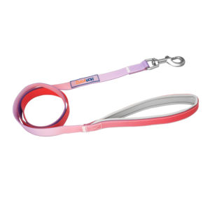 <span class=keywords><strong>Collar</strong></span> y correa de PVC para perro, impermeable, de silicona TPU, arcoíris, personalizado, venta al por mayor - Product Image 4