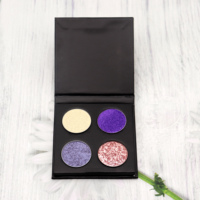 Palette de fards à paupières vide 4 couleurs personnalisée de haute qualité mate et étanche pour la vente en gros quotidienne choisissez vos propres couleurs ombre à paupières bricolage