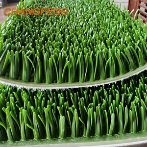 <span class=keywords><strong>Tapis</strong></span> de récupération d'or <span class=keywords><strong>en</strong></span> PE lavable et antidérapant, type « Gold Rush Grass », pour poussière d'or et or alluvionnaire fin - Product Image 4