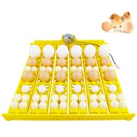 Plateau d'incubation en gros de haute qualité pour œufs de poulet/canard/oiseaux, capacité 24/104 œufs, nouveau, double alimentation, retournement automatique des œufs, taux d'éclosion de 98%
