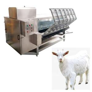 Máquina Depiladora de Cerdos para la Industria de Sacrificio, Máquina de Depilación de Cerdos para el Mercado Africano - Product Image 6