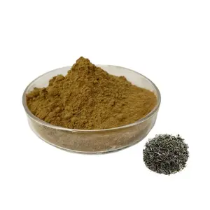 Wholesale Green Tea Extract 50% Polyphenols Powder Green Tea Extract Powder