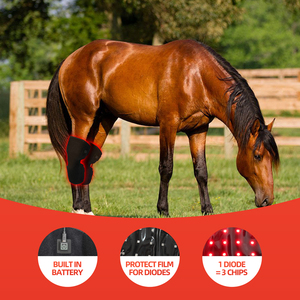 <span class=keywords><strong>3</strong></span> in 1 CIP disesuaikan fisioterapi hewan peliharaan hors red light equine infrared pad wrap hock - Product Image 4