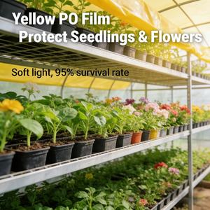 ฟิล์มคลุมโรงเรือนสีเหลือง PO ทนรังสียูวี ป้องกันความร้อน ได้รับการรับรองมาตรฐาน CE ป้องกันหยดน้ำ ป้องกันฝุ่น สำหรับสวนดอกไม้ ต้นกล้า และผัก - Product Image 2