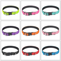 Ensemble collier et laisse pour chien avec code QR personnalisé, identification numérique intelligente pour animaux de compagnie, harnais de sécurité pour chien pour toutes les races