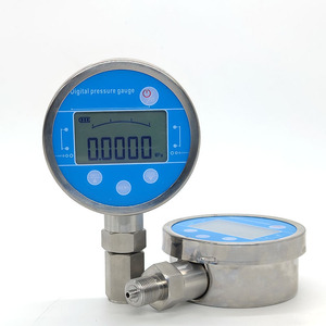 Medidor Digital de Alta Precisión YW-100B con Correa y Retroiluminación 4-20 MA - Product Image 6