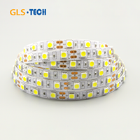 Bande LED SMD5050 6000K Blanc Froid - Ruban Lumineux Flexible Étanche IP67, 12V/24V 60 LED/m pour Décoration Intérieure/Extérieure