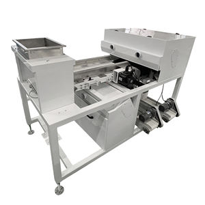 Fácil de operar Belt Color Sorting Machine para Chili Temperos Cor Sorter com Shape Sorter Função - Product Image 2