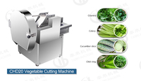 CHD-20 Rvs Automatische Groente Fruit Prei/Kool/Spinazie/Selderij/Boerenkool Snijmachine/Verwerking Machine/Cutter