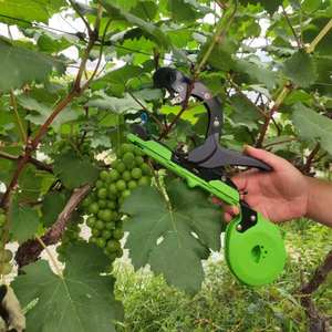 Máquina Atadora de Plantas Eficiente para Cultivos de Tomate, Uva y Vides en Invernadero - Product Image 2