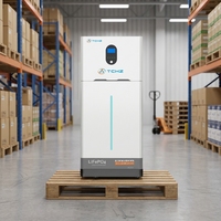 Nouvel arrivage d'usine : Onduleur 6,5 kW avec garantie de 10 ans et batterie solaire 16 kWh pour stockage d'énergie solaire, compatible Wi-Fi et Bluetooth