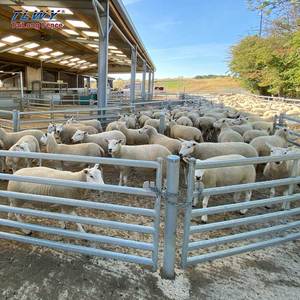 Clôture TLWY en acier galvanisé <span class=keywords><strong>à</strong></span> chaud, revêtement poudré, haute résistance, pour enclos agricoles et moutons, avec vidéo d'installation - Product Image 1