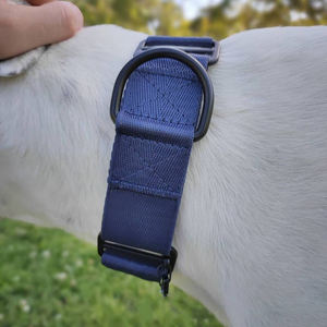 कस्टम लोगो collares <span class=keywords><strong>martingale</strong></span> perros टिकाऊ नायलॉन <span class=keywords><strong>2</strong></span> इंच चौड़ाई बड़े <span class=keywords><strong>martingale</strong></span> कुत्ते कॉलर के लिए ग्रेहाउंड - Product Image 2