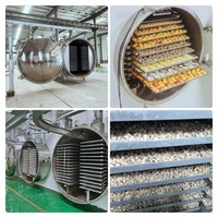 Tek Factory Verkoopprijs Industriële Vacuümvriesdroger 100kg OEM Commerciële Voedsel Lyofilisatie Apparatuur 10m2 Kosten