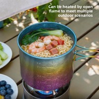 Ensemble de cuisine en titane pur, ultraléger 280g, pot de qualité alimentaire 1200ml, assiette 400ml, camping, pique-nique, cuisine en plein air, logo personnalisé