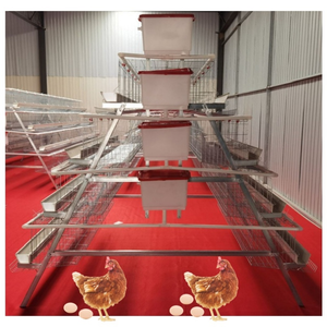 Batterie haute capacité, cages à poules, collecte automatique des œufs, équipement d'élevage avicole, longue durée de vie - Product Image 6