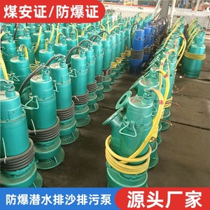 ปั๊มทรายใต้น้ำแบบป้องกันการระเบิดสำหรับงานเหมือง Bqs200-60-55kw กำลังไฟฟ้า 5 แรงม้า แบบแรงเหวี่ยง สำหรับอุตสาหกรรมเหมืองแร่ - Product Image 5