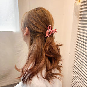 Nouveau élégant femmes accessoire <span class=keywords><strong>crabe</strong></span> épingles à <span class=keywords><strong>cheveux</strong></span> pinces haut de gamme en métal arc en forme de perle <span class=keywords><strong>pince</strong></span> à <span class=keywords><strong>cheveux</strong></span> pour les filles - Product Image 4