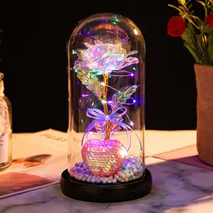 Galaxy Enchanted Flower Rose with LED Light in Glass Dome for Mother's Day Mother's Day Girlfriend Wife Women
