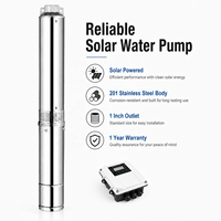 Solar-Brunnenpumpe DC Tauchmotor Bürstenlos 3 Zoll Edelstahl Tiefbrunnensystem für Landwirtschaft und Bewässerung