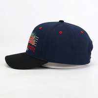 Gorras de Béisbol 2025 Bordadas con Impresión Puff, Gorras Deportivas Lisas 100% Algodón Ajustables Unisex