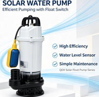 Pompe à eau solaire submersible flottante sans balais QDX DC avec interrupteur à flotteur automatique pour système d'alimentation en eau solaire hors réseau