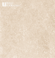 Carrelage de maison moderne en porcelaine gris, surface mate, hôtel, salle de bains, cuisine, salon, 60x60 carreaux