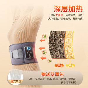 Le Er Kang Massage Waist Belt With <b>Heating</b> And Timing Control For Waist Support Premium Edition - Product Image 3